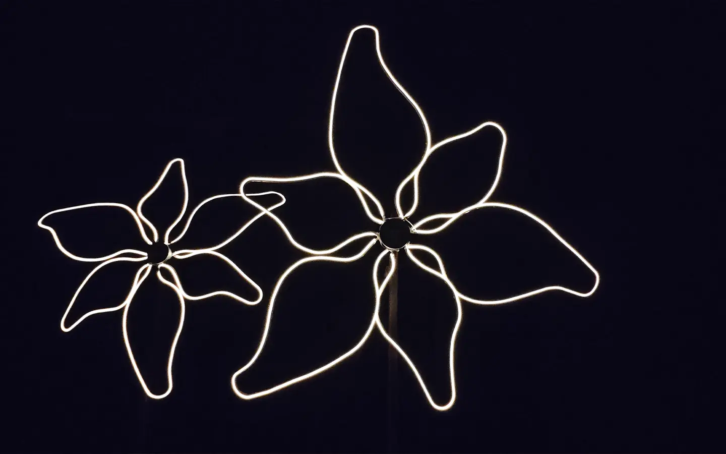 Lily Nails Spa Westfield Interior Lighting Design